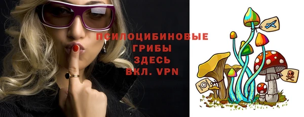 герыч Алексин