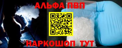 СК Гатчина