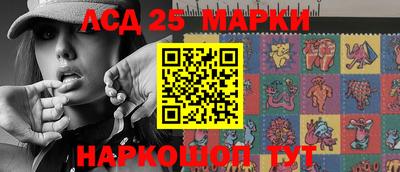 СК Гатчина