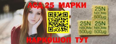 СК Гатчина