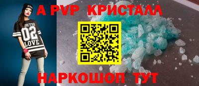 СК Гатчина