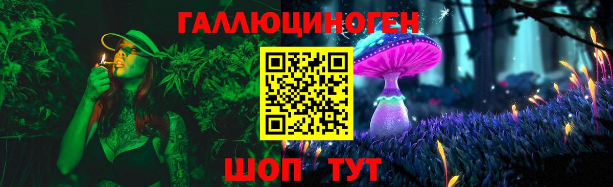 Галлюциногенные грибы Psilocybine cubensis Кумертау